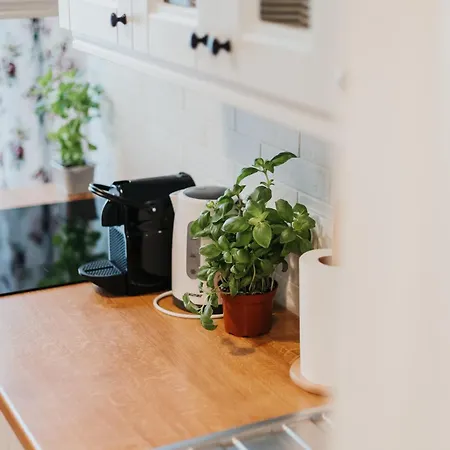 Sight Main Square & Main Train Station & Planty *