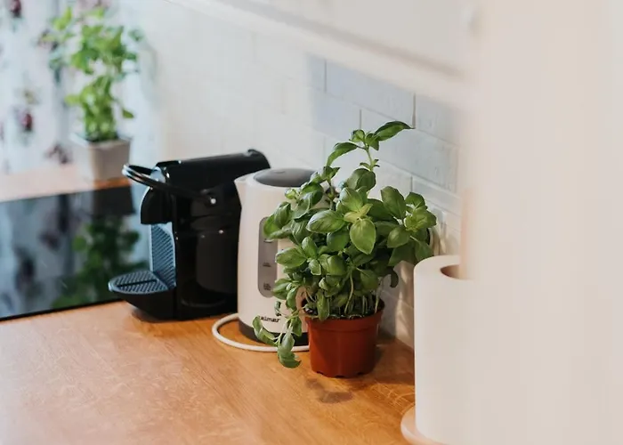 Sight Main Square & Main Train Station & Planty *